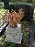 image of grave number 147184